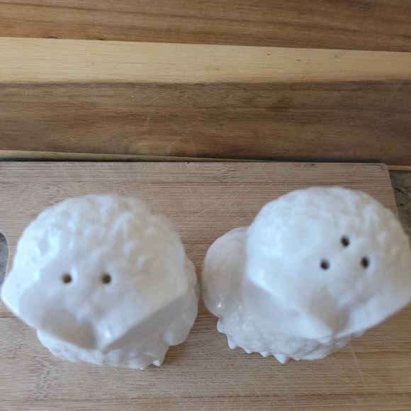 White Ceramic Owl Salt and Pepper Larger Shaker Set - Picture 7 of 8